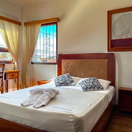 Luz De Luna Hotel Barrio Escalante San José Eksteriør billede