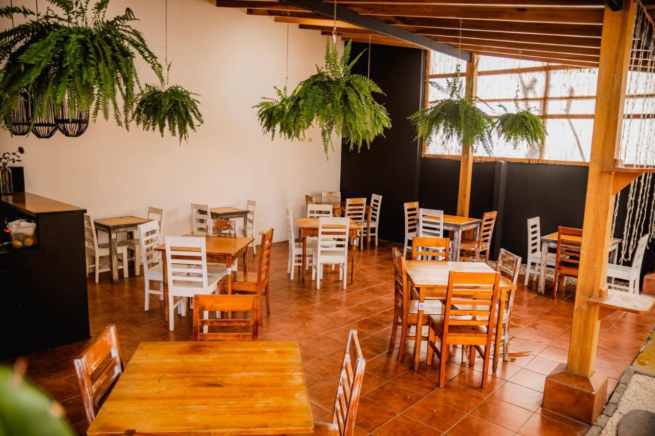 Luz De Luna Hotel Barrio Escalante San José Eksteriør billede