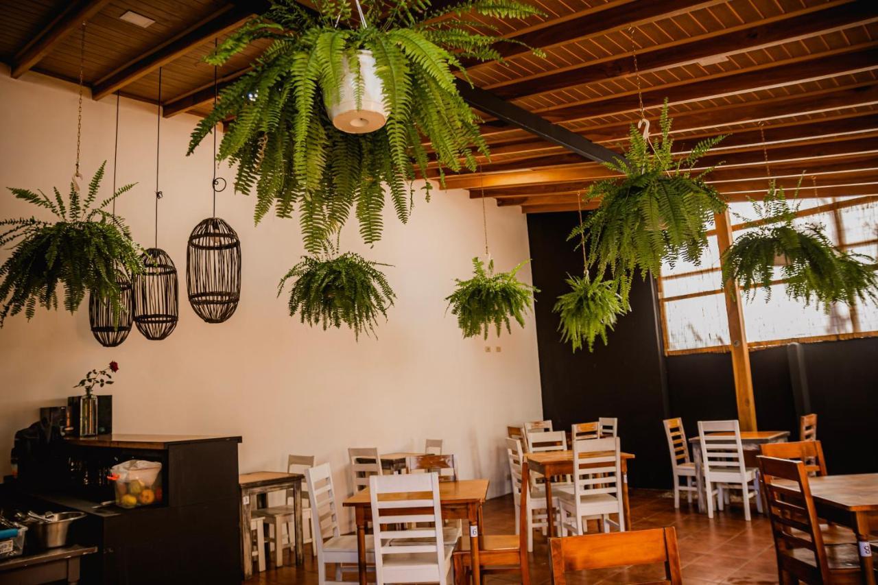 Luz De Luna Hotel Barrio Escalante San José Eksteriør billede