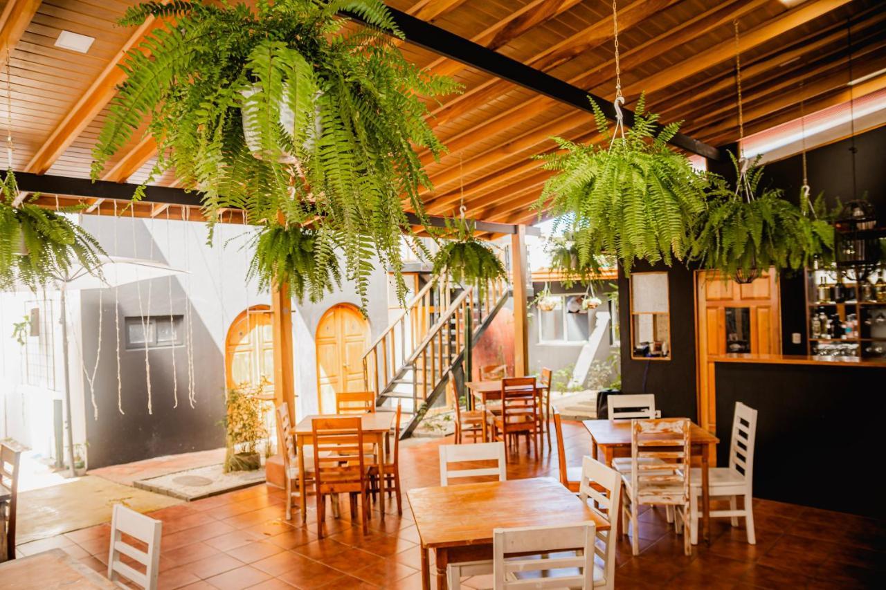 Luz De Luna Hotel Barrio Escalante San José Eksteriør billede